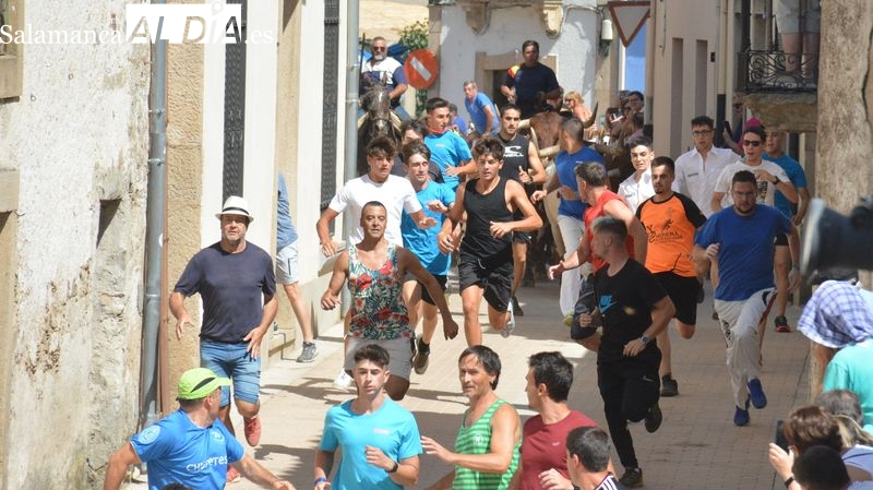 Lumbrales cierra el ciclo con un encierro a caballo rápido y limpio