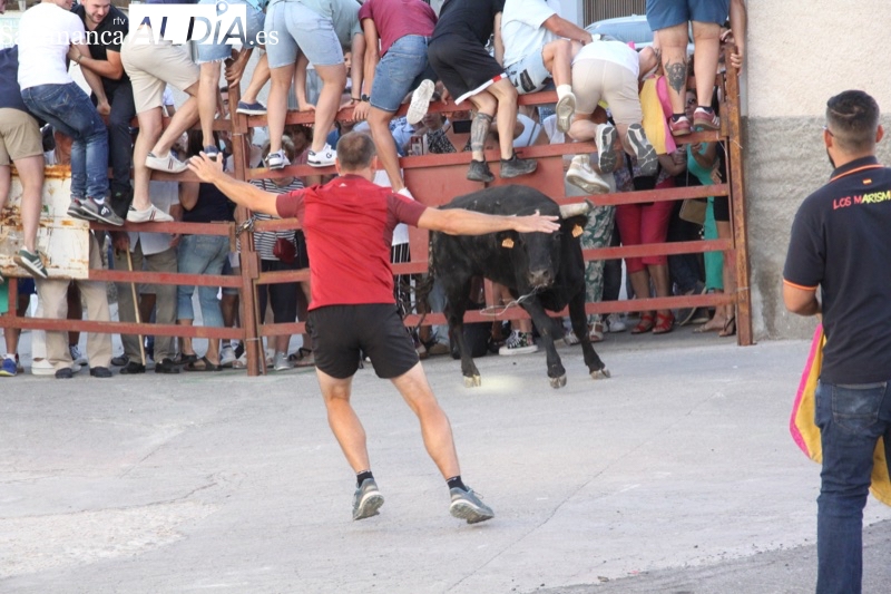 El Toro de Cajón deja dos heridos de diversa consideración en Alaraz