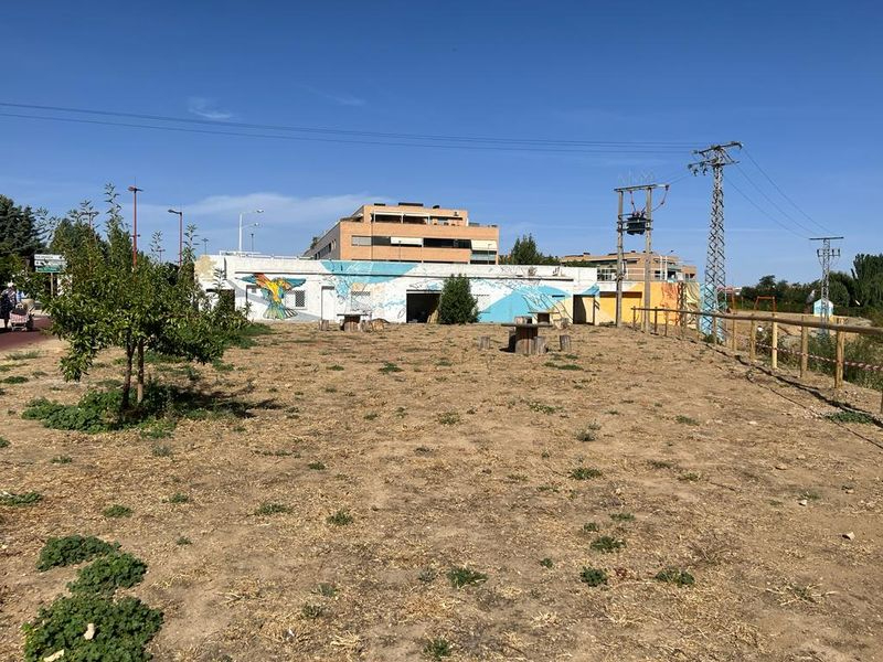 Los alumnos de la AFE de horticultura y jardinería de Santa Marta acondicionan el paseo Francisco Bernís