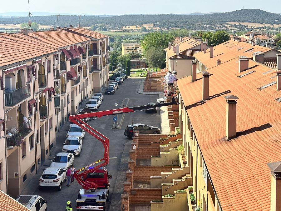 Los Bomberos actúan en la calle Comandante Che Guevara por culpa de las avispas