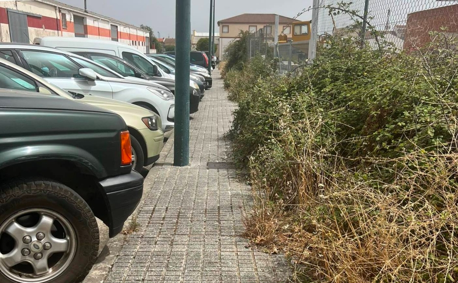Reclaman la limpieza de los cardos que van invadiendo la acera de la calle Moreno Torroba