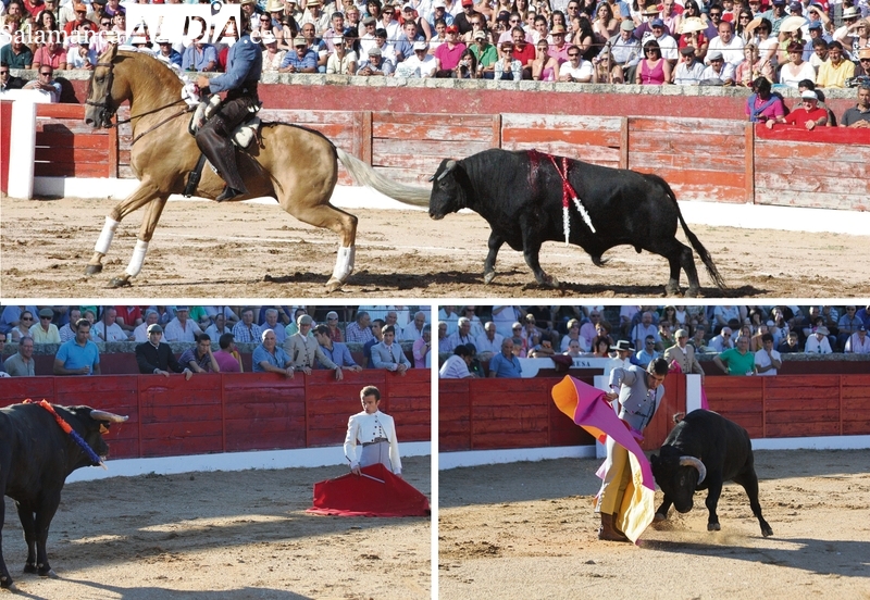 La corrida de Miura, broche al cartel taurino de las Ferias y Fiestas de Vitigudino