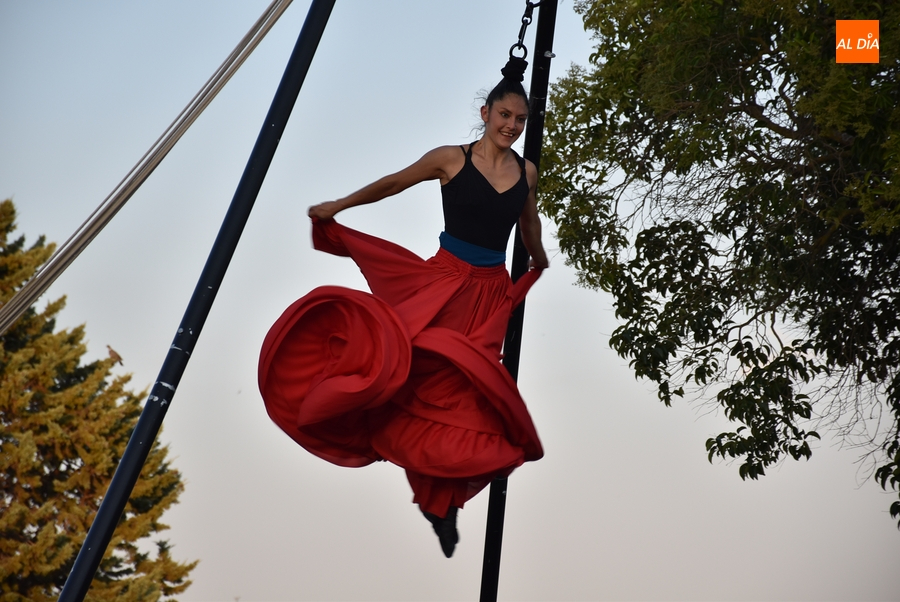 Los papagayos inspiran la apertura desde las alturas de las sesiones callejeras