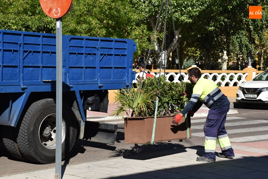 Instaladas 4 jardineras en la calle Laguna para desalentar a cruzar la calzada de cualquier manera