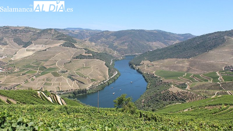 São João da Pesqueira, monumento vínico y paisajístico
