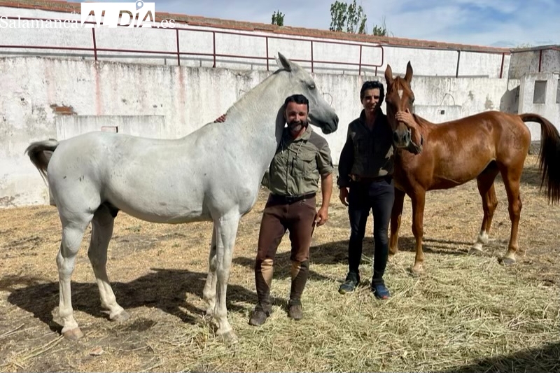 Dos jinetes cruzan la provincia de Salamanca en su Ruta de Carlos V que supera los 500 kilómetros
