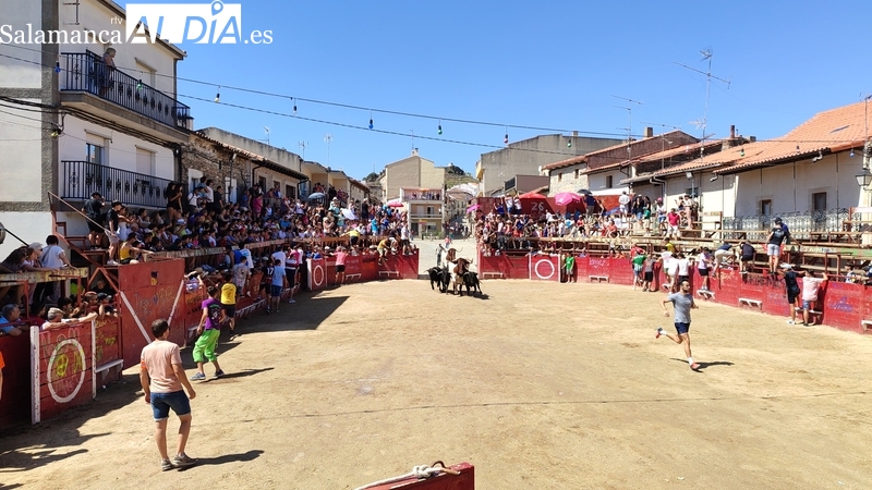 Rápido encierro de los Hermanos Cañero en Vilvestre para despedir las fiestas