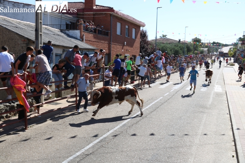Bonito y emocionante encierro de Valrubio en Villarino