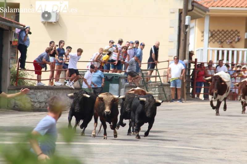 Fulgurante encierro de Charro de Llen en Saucelle