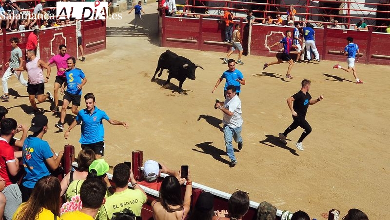 Rápido y desigual encierro a caballo en las Fiestas de Toros de Lumbrales