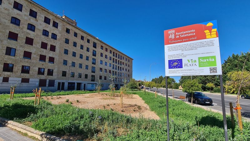 El Ayuntamiento de Salamanca implanta soluciones naturales para gestionar el agua de lluvia