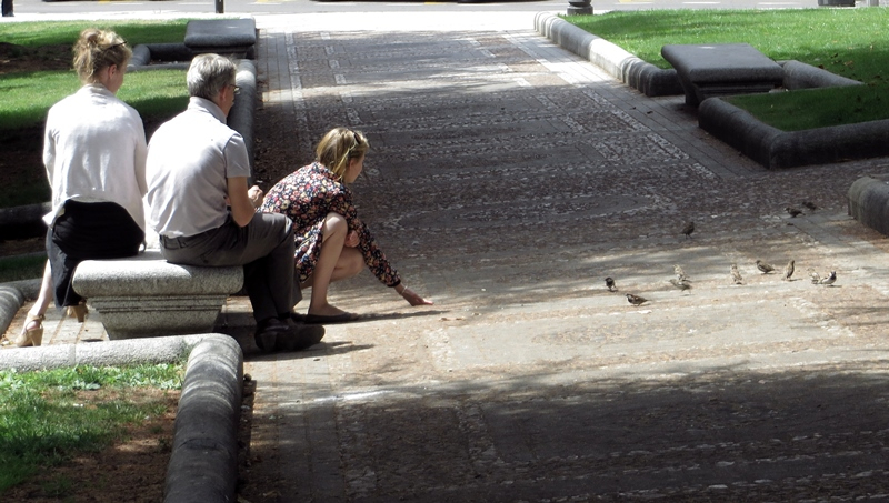  Ofrendas a los pájaros  