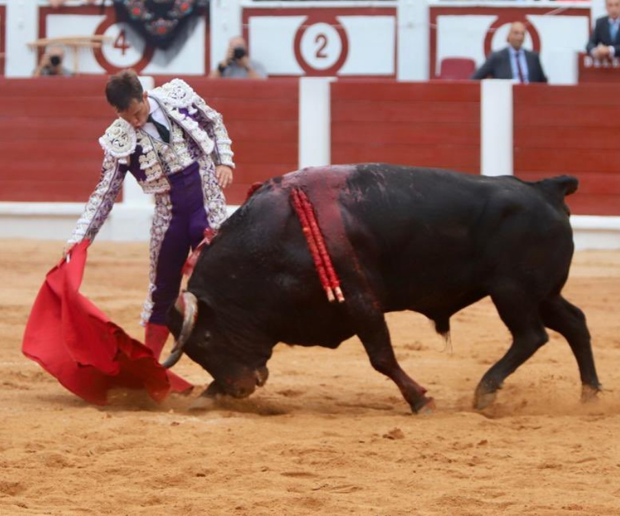 El Juli indulta un toro de Garcigrande en Gijón