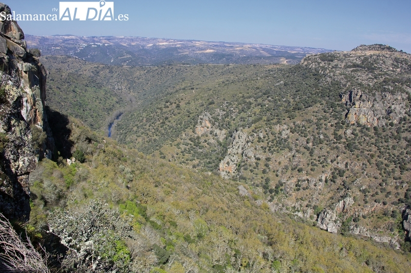 ¿Qué lugar de Salamanca ha superado los 40º grados?