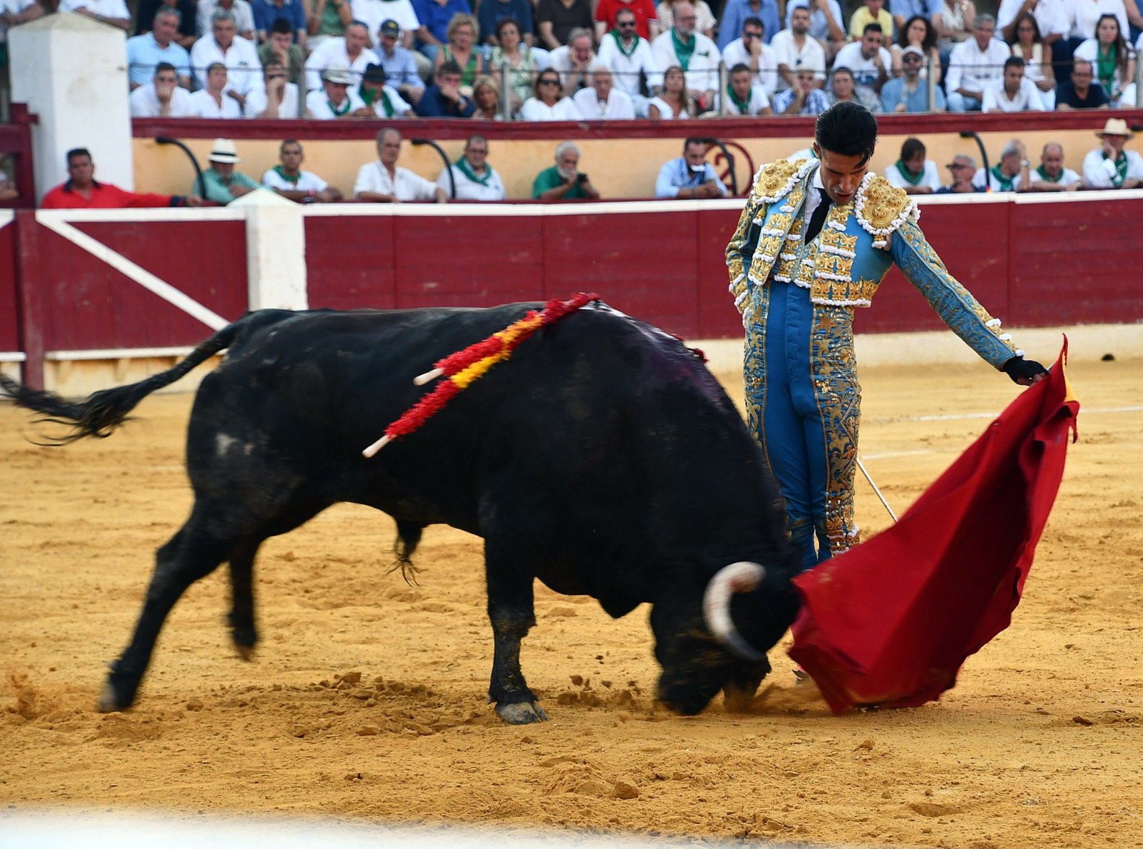 El Pilar, mejor ganadería y mejor toro de la Feria de Huesca
