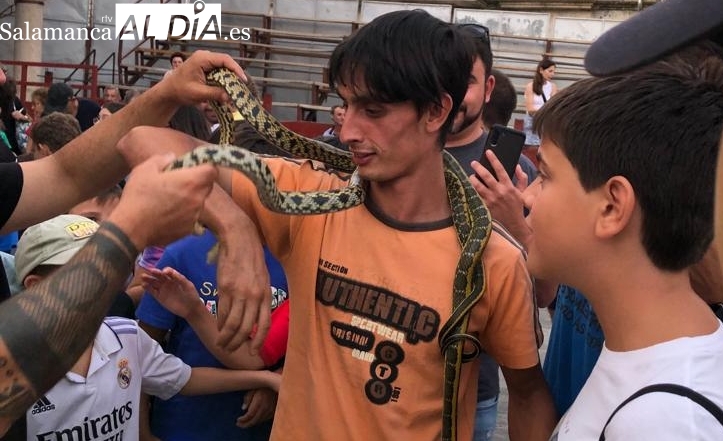Pequeños y mayores disfrutan en Villavieja de Yeltes de varias especies animales 