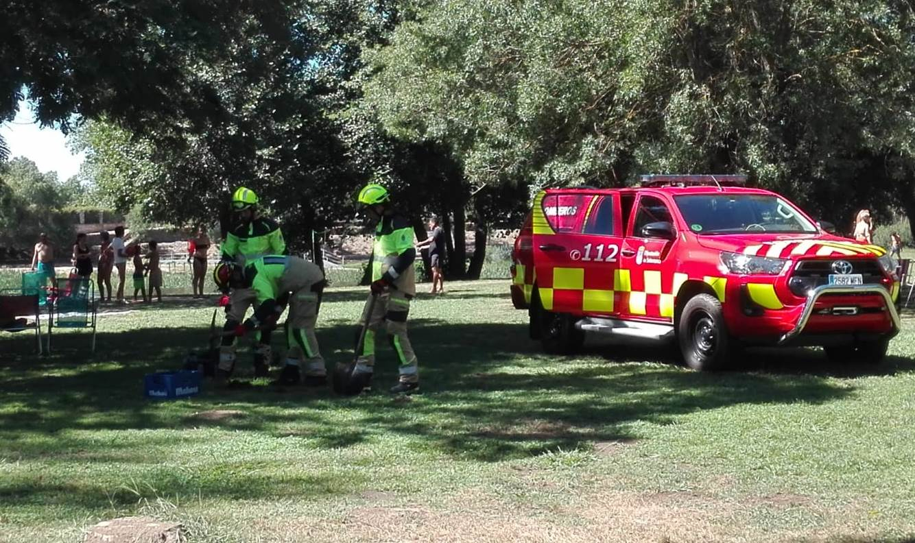 Las avispas llevan a los Bomberos hasta la isla de El Picón