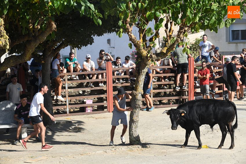 Buen ambiente en la jornada taurina de las fiestas de Villar de la Yegua