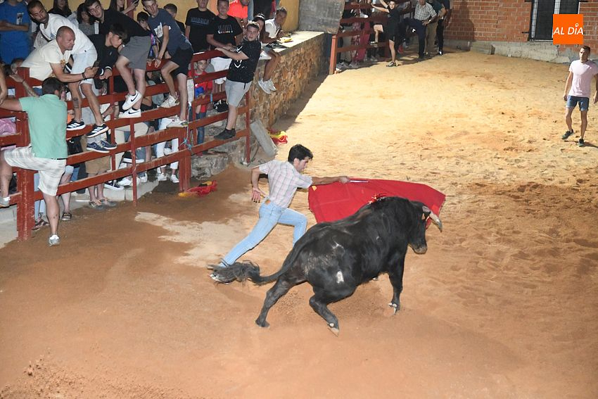 vaquillas noche serradilla del llano