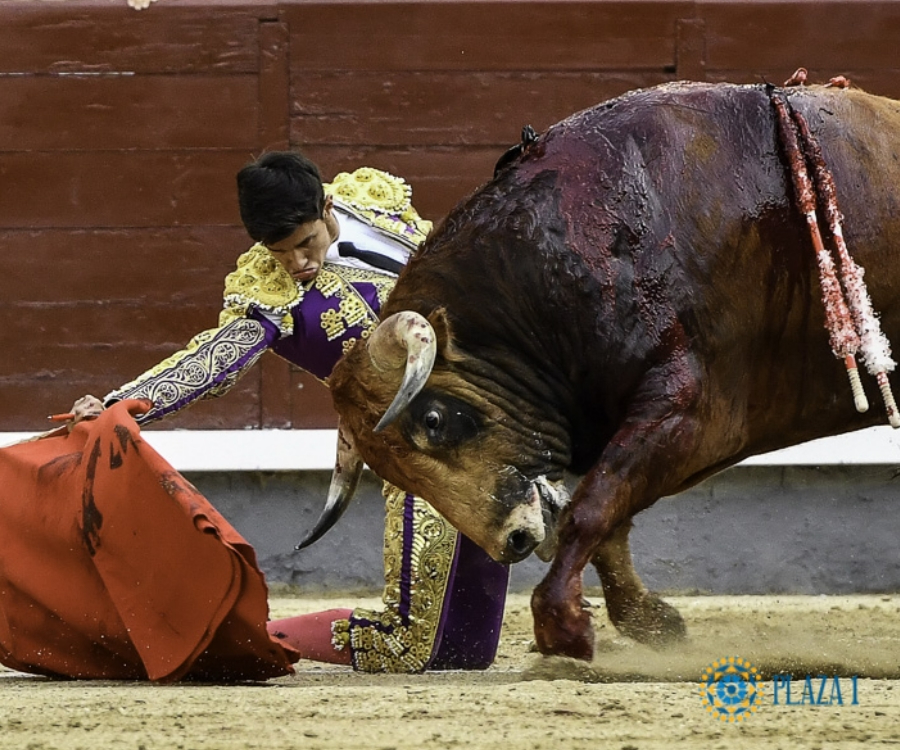 Manuel Diosleguarde quiere (y puede) sentarse en la mesa de las figuras