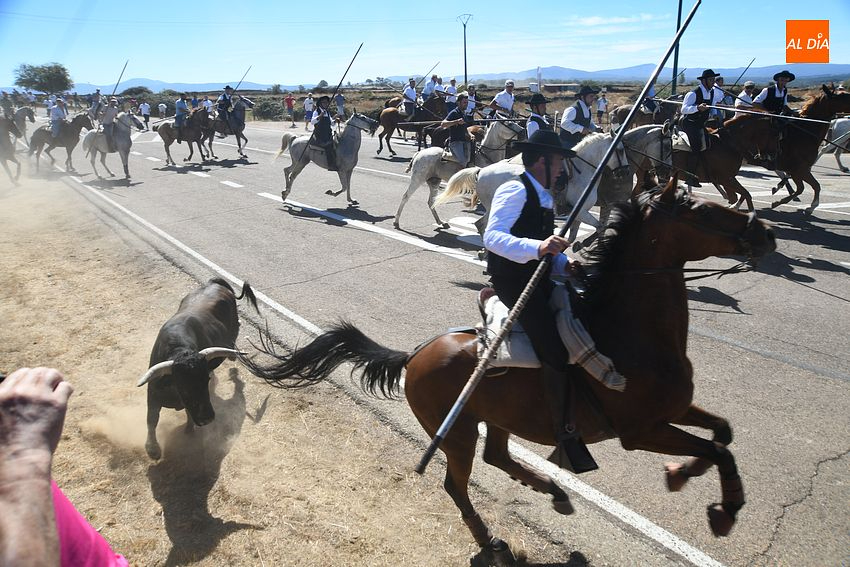 Multitudinaria asistencia a un encierro dominical que alargaron los recortadores