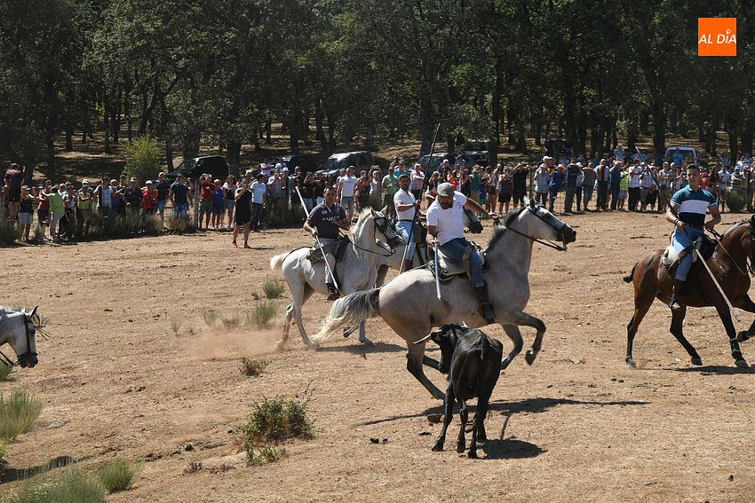 encierro a caballo villasrrubias