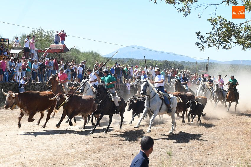 encierro a caballo casillas de flores