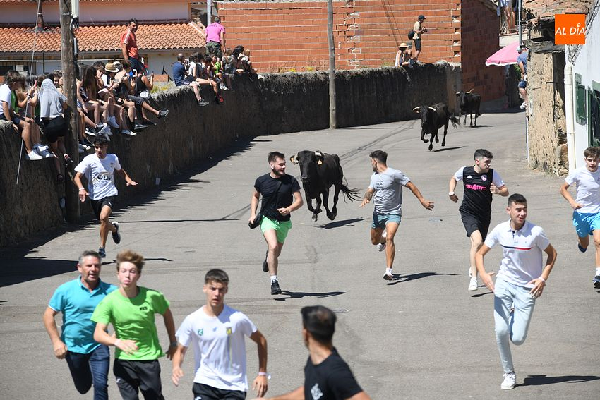 fiestas san lorenzo el bodon