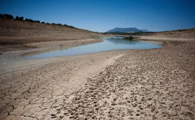 Los afectados por la sequía en Castilla y León ya pueden solicitar las ayudas correspondientes