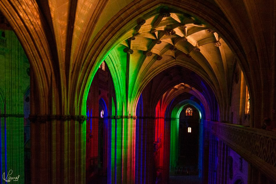 Entrada a mitad de precio en Ieronimus para celebrar la Noche de los Fotógrafos