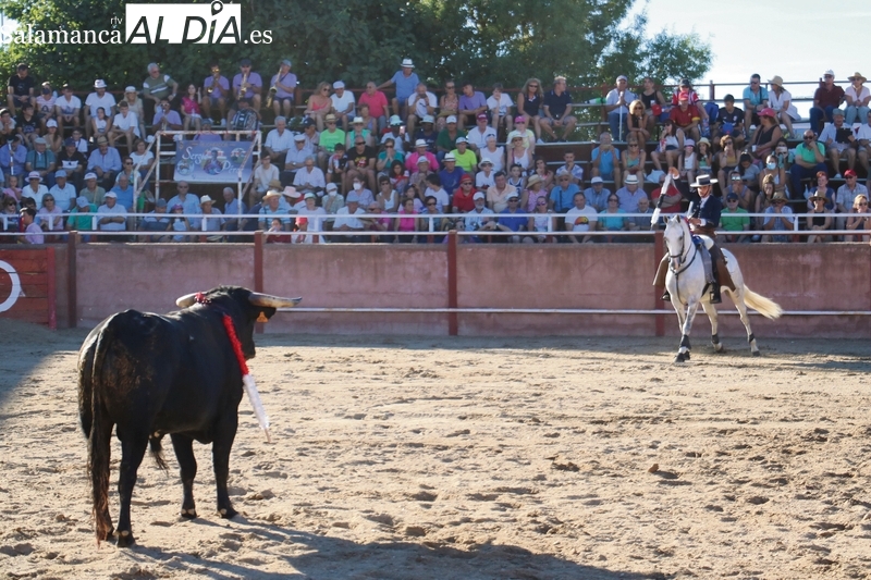 Rejones, novillada y tres verbenas con orquesta, los platos fuertes en Masueco