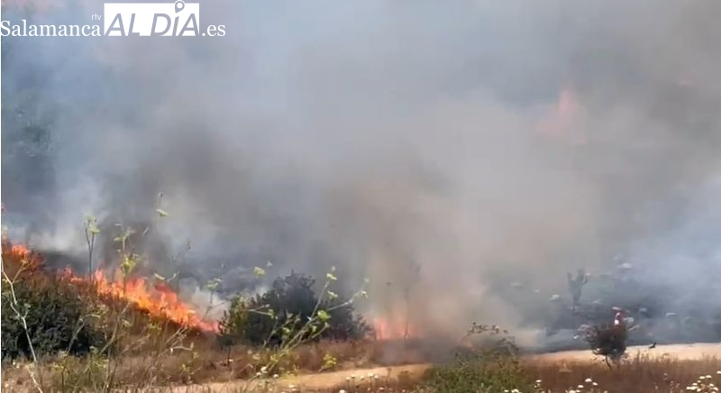 Salamanca, en riesgo muy alto de incendio este jueves