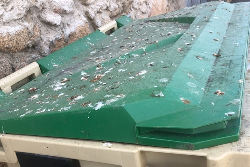 Quejas en Encinasola de los Comendadores por la suciedad que acumulan algunos contenedores de basura