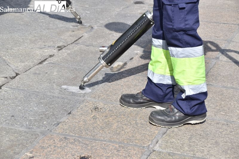 El Ayuntamiento ha limpiado ya más de 250.000 metros cuadrados de solares municipales