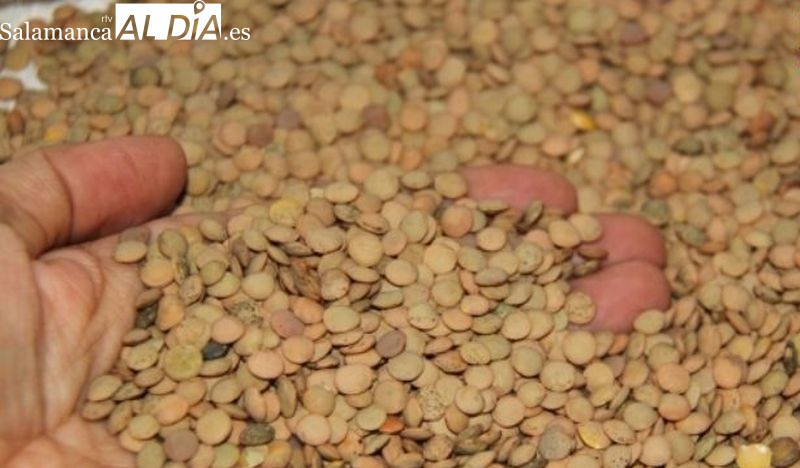 Cuenta atrás para la I Feria Popular de Productos de la Armuña