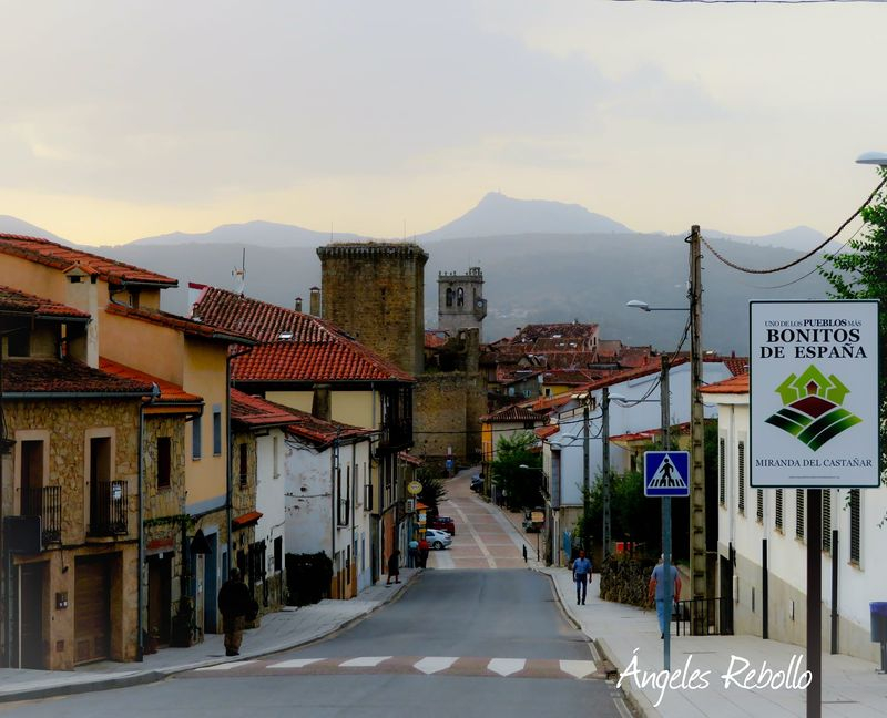  Amor a primera vista 