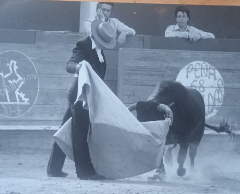 Historias de La Vedija 