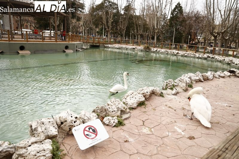 El Ayuntamiento acometerá el próximo jueves la limpieza del fondo del estanque de La Alamedilla