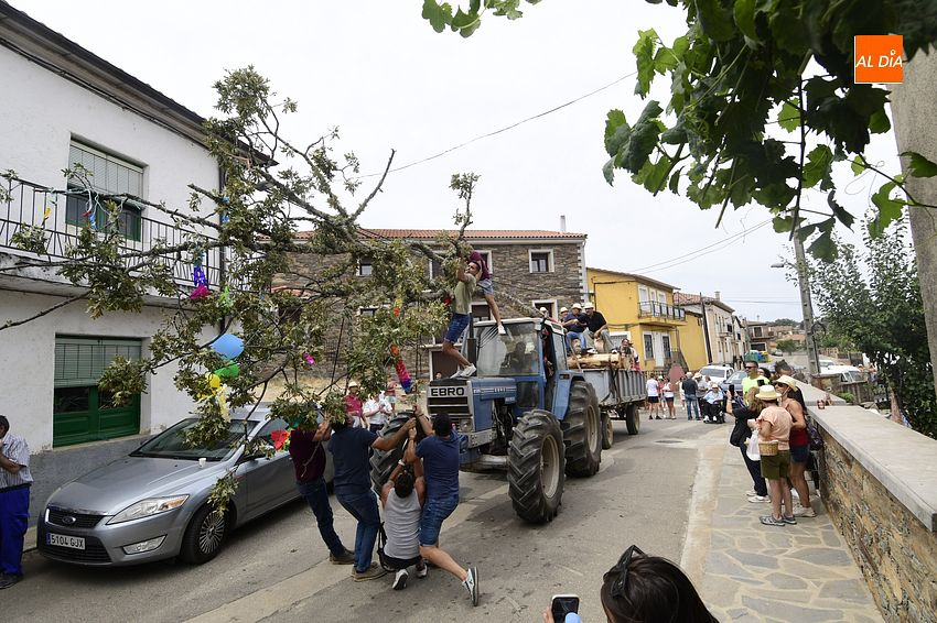 Una capea a las 5 de la madrugada, entre las actividades de las Fiestas de Agosto de Robleda