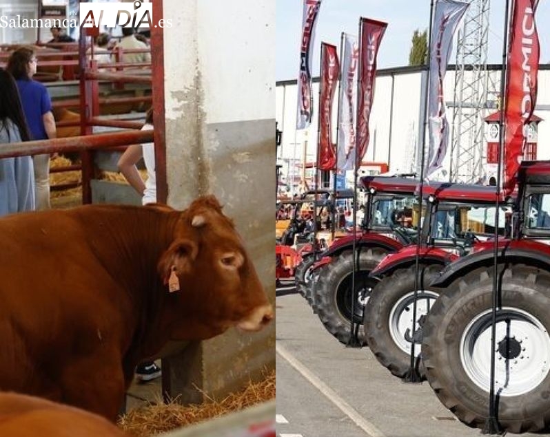 Salamaq: arranca el gran escaparate del sector primario salmantino