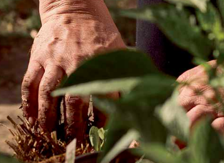 He tardado veinte años en rehabilitarme. He abierto los ojos y he renunciado a amigos