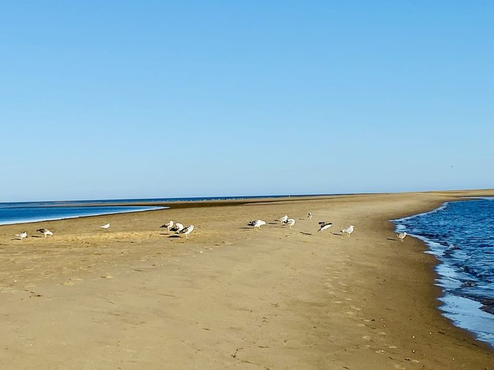 Satanás en la orilla