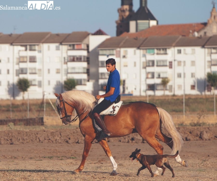 Sergio Pérez: Es un orgullo llevar la bandera de Salamanca en el escalafón de rejoneadores