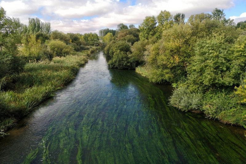 Cerca de 1.000 personas participan en las visitas guiadas gratuitas del Ayuntamiento en torno al río Tormes