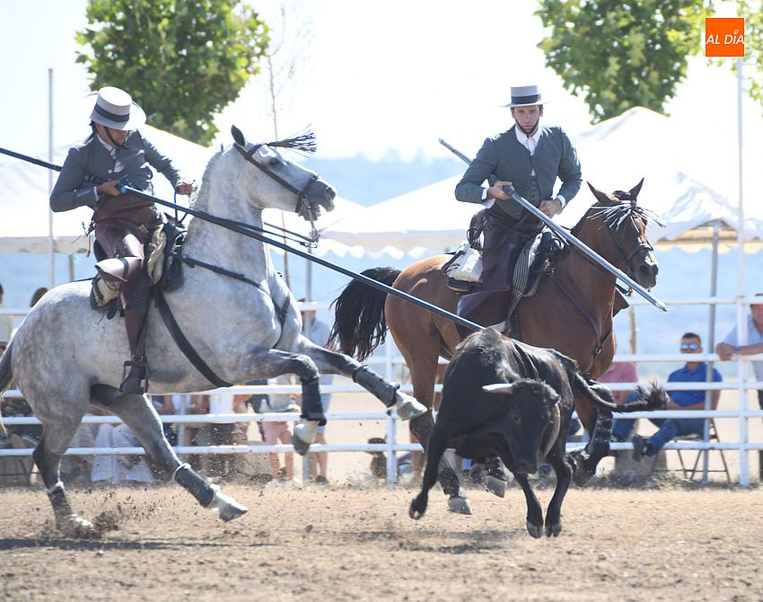 faenas doma y campo ciudad rodrigo