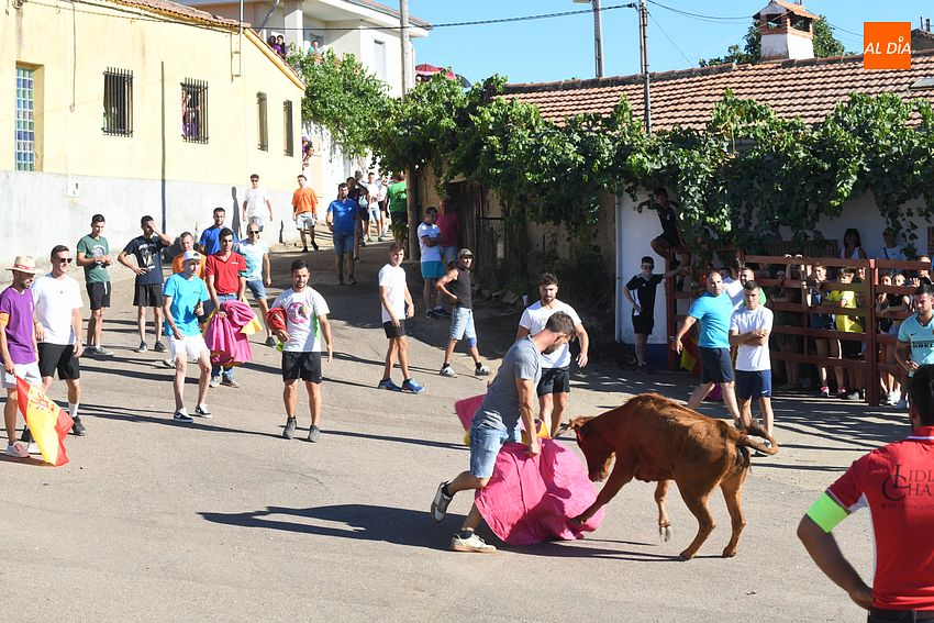 vaquillas la atalaya