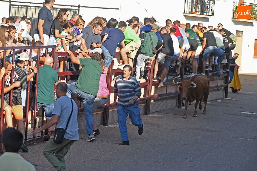 vaquillas morasverdes