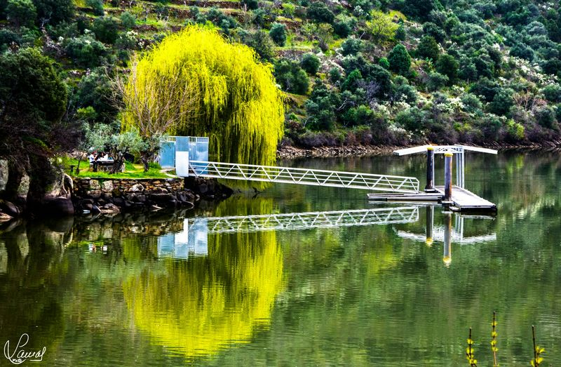 El Duero y sus simetrías
