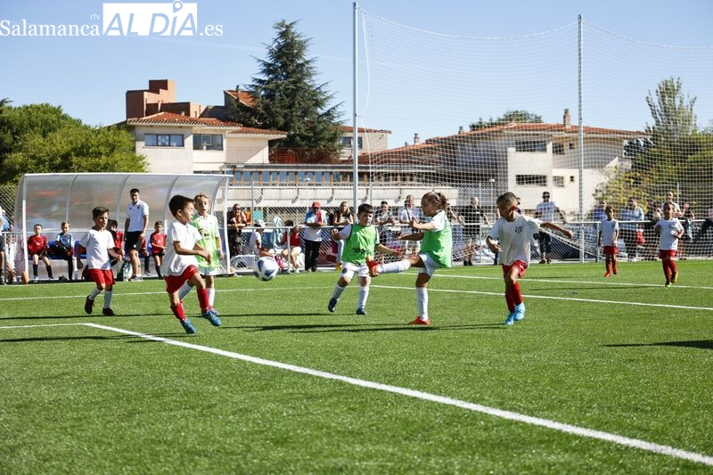 La lista de los equipos que participarán en el II Memorial Roberto Sánchez Tabu bajo la organización del Monterrey