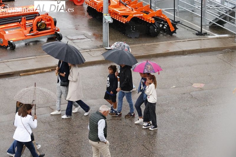 Salamaq desafía a la lluvia y vuelve a llenarse de público